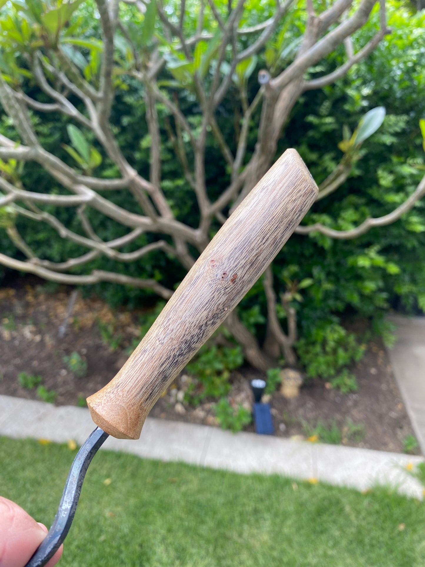 Trimming Hook Tool  With Camphor Laurel Timber Handle