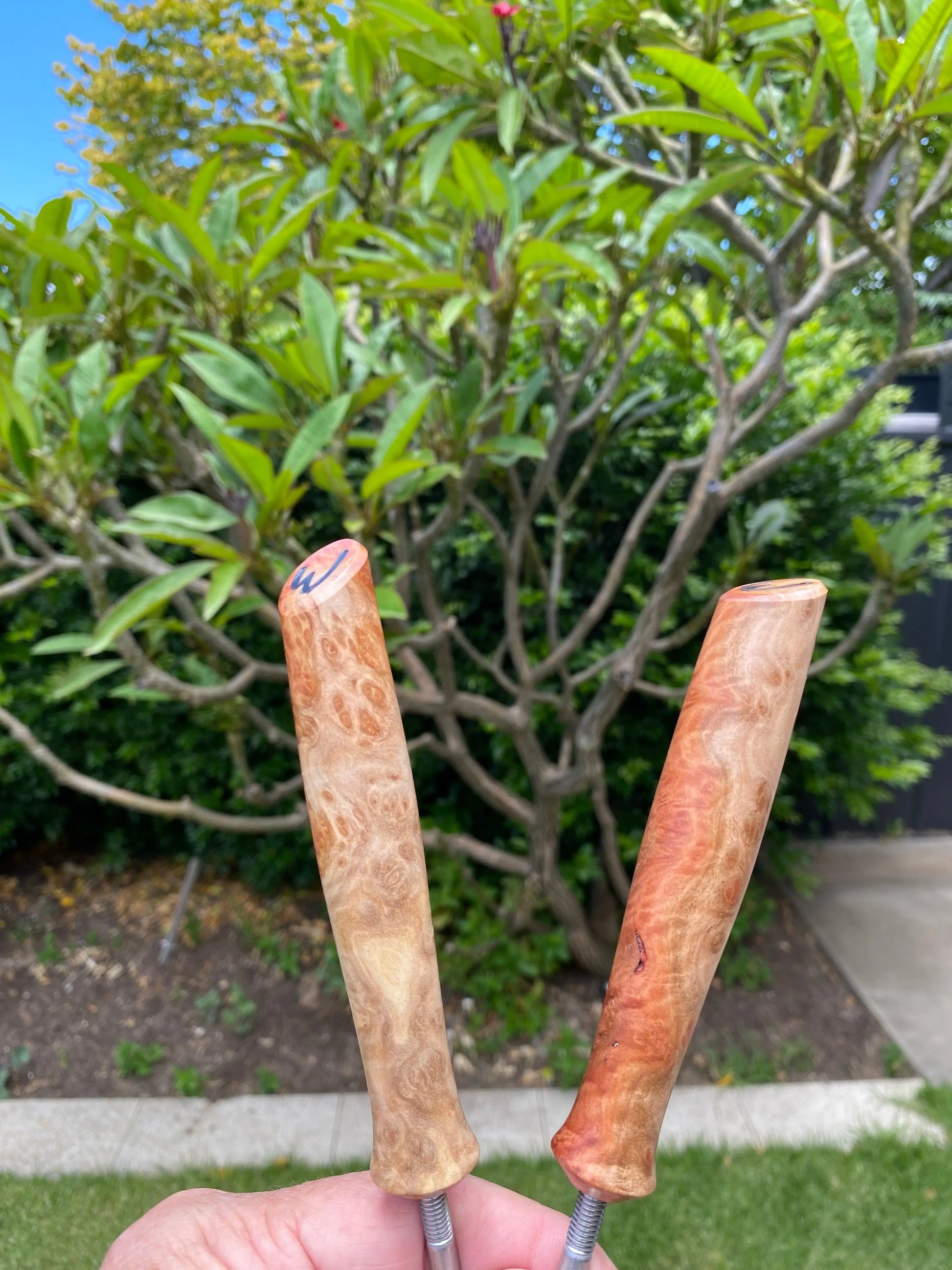 Tungsten Carbide System  Mallee Burl Handle Only Bruce Wood Ceramics