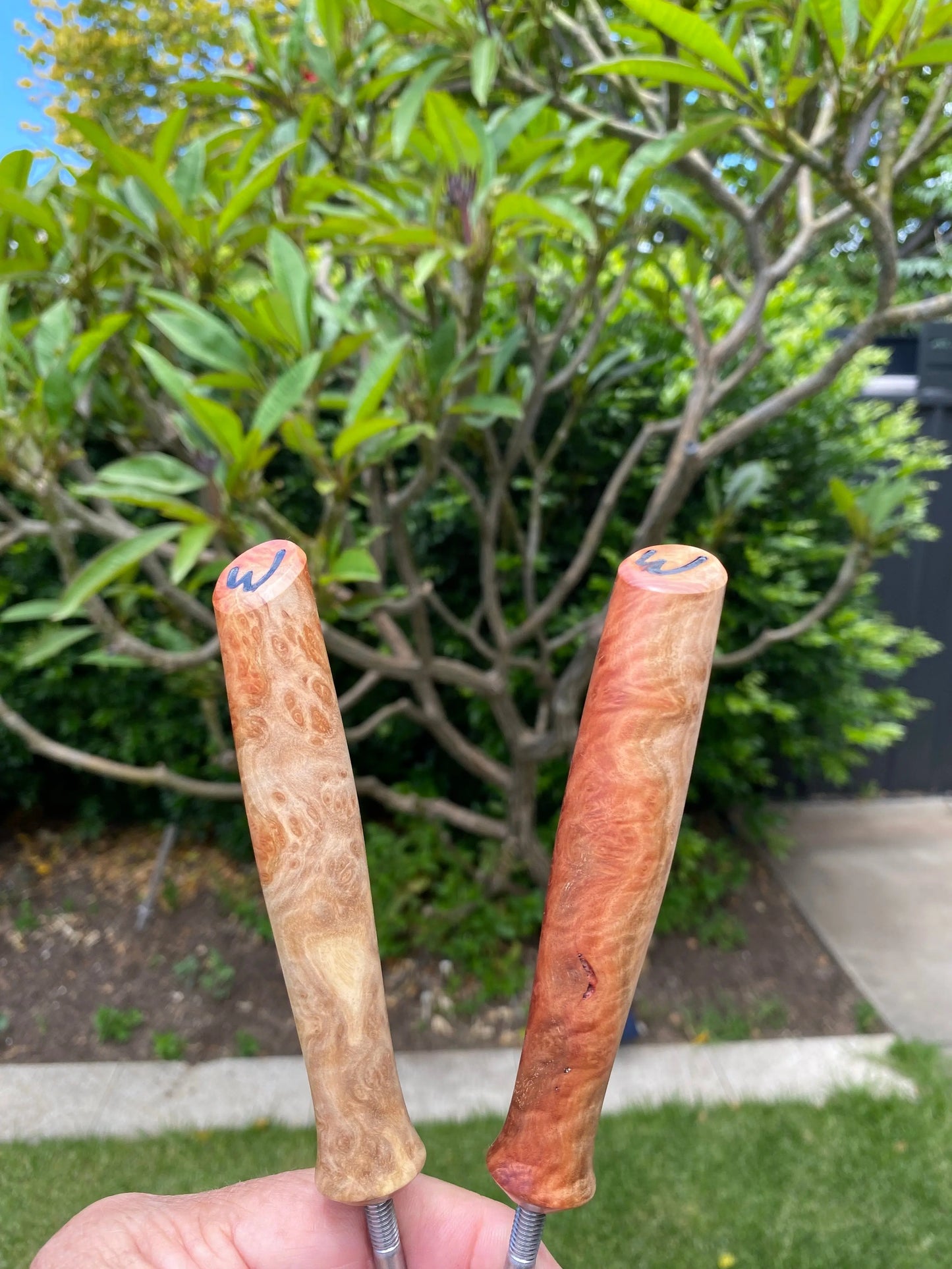 Tungsten Carbide System  Mallee Burl Handle Only Bruce Wood Ceramics