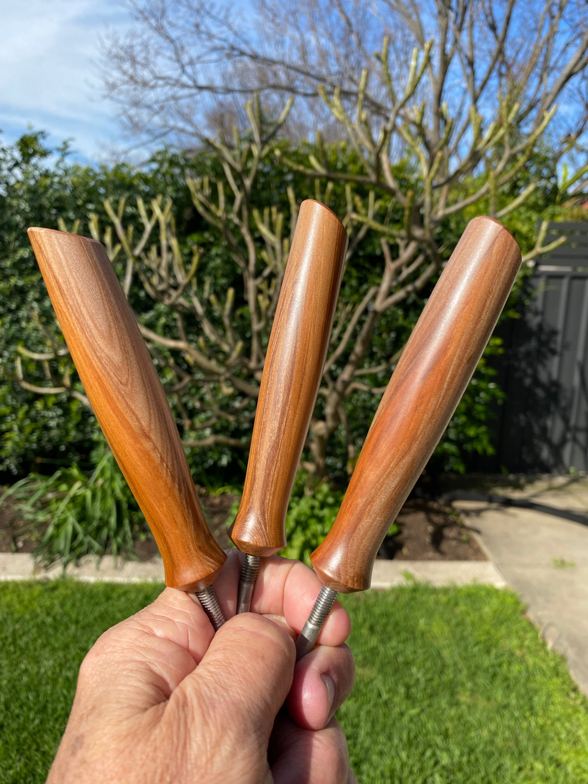 Limited Edition Tungsten Carbide Set Tasmanian Leatherwood